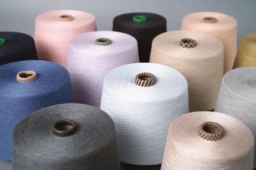 柯橋先行示范之路 瞄準“雙碳”目標，加速綠色轉(zhuǎn)型推動共同富裕